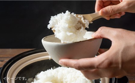 【全12回定期便】とくべつの中のとくべつ 糸島 特別栽培米 3kg （ コシヒカリ ）《糸島》【itoshimacco / 株式会社やました】[ARJ022] 米 お米 こめ コメ こしひかり コシヒ