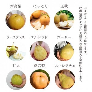 【きよとうファーム】梨好きのための、梨2-3食べ比べ ご家庭用 5-7玉(岡山県産)【1559803】