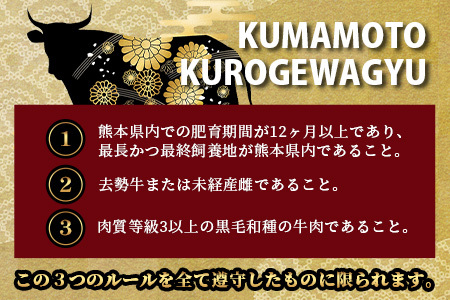 《R7.5・6・7月発送 限定 増量 》【訳あり】くまもと 黒毛和牛 焼肉 切り落とし 600g ＋ DREAMバーグ150ｇ×2個 【合計 900g】 切り落とし 牛肉切り落とし 焼肉切り落とし 牛