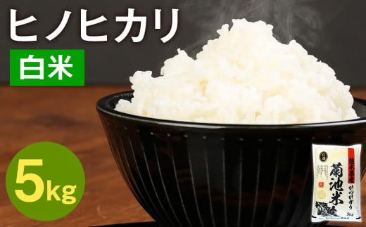 熊本県菊池産 ヒノヒカリ 5kg 精米 お米 白米 【30日以内に出荷予定（土日祝除く）】