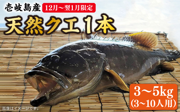 【12月～翌年1月限定】 天然 クエ 丸もの 1本 3～5kg（鍋・刺身 5～10人用） 《壱岐市》【丸和水産】 [JCJ024] 134000 134000円