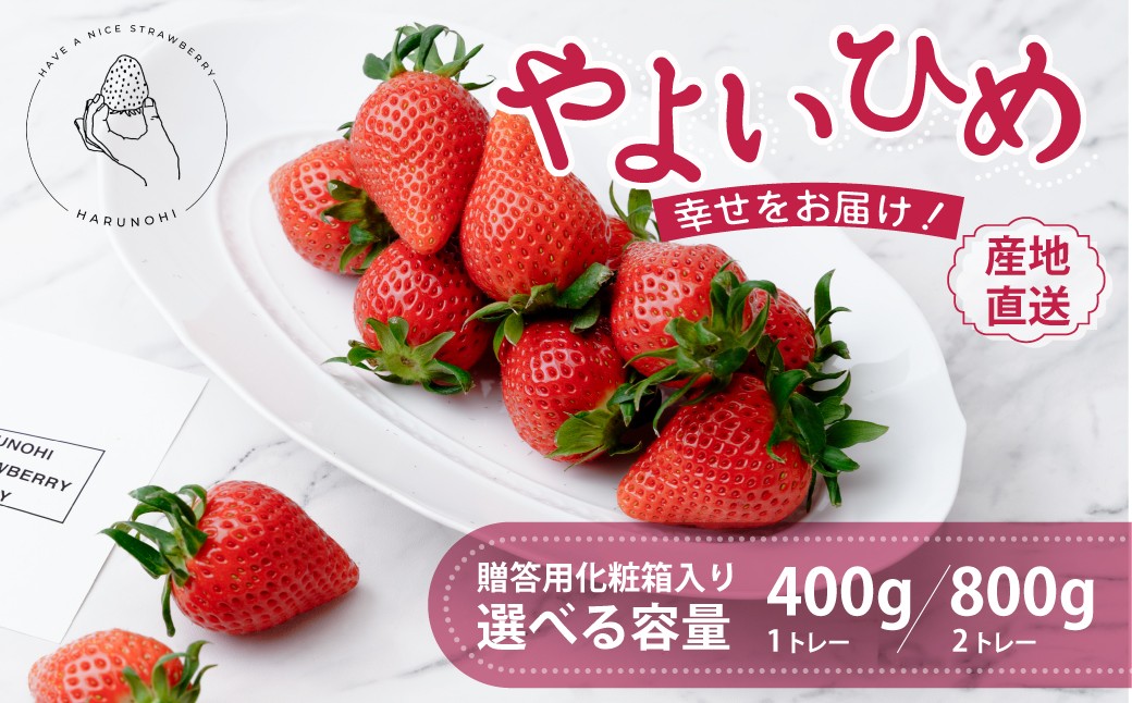 
                  いちご 大粒完熟 やよいひめ 400g 1パック 選べる内容量  2026年｜朝採れ やみつき高品質 たっぷり 贈答用 新鮮 完熟 いちご 旬 苺 ストロベリー 高級 産地直送 果汁 甘い あまい 人気 高評価 高糖度 ごほうび プレゼント ハルノヒ 群馬県 前橋市
                