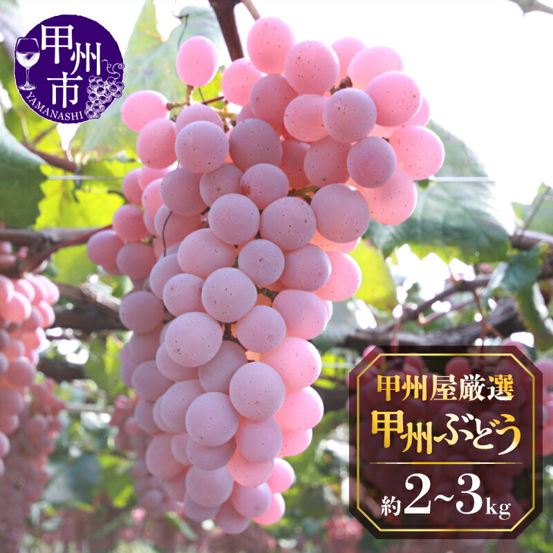 【ふるさと納税】 ぶどう 甲州ぶどう 2026年発送 先行予約 選べる内容量 約2kg 約3kg 箱詰め 果物 くだもの 10月 発送 甲州種 勝沼町岩崎産 厳選 果実 フルーツ 山梨県 甲州市