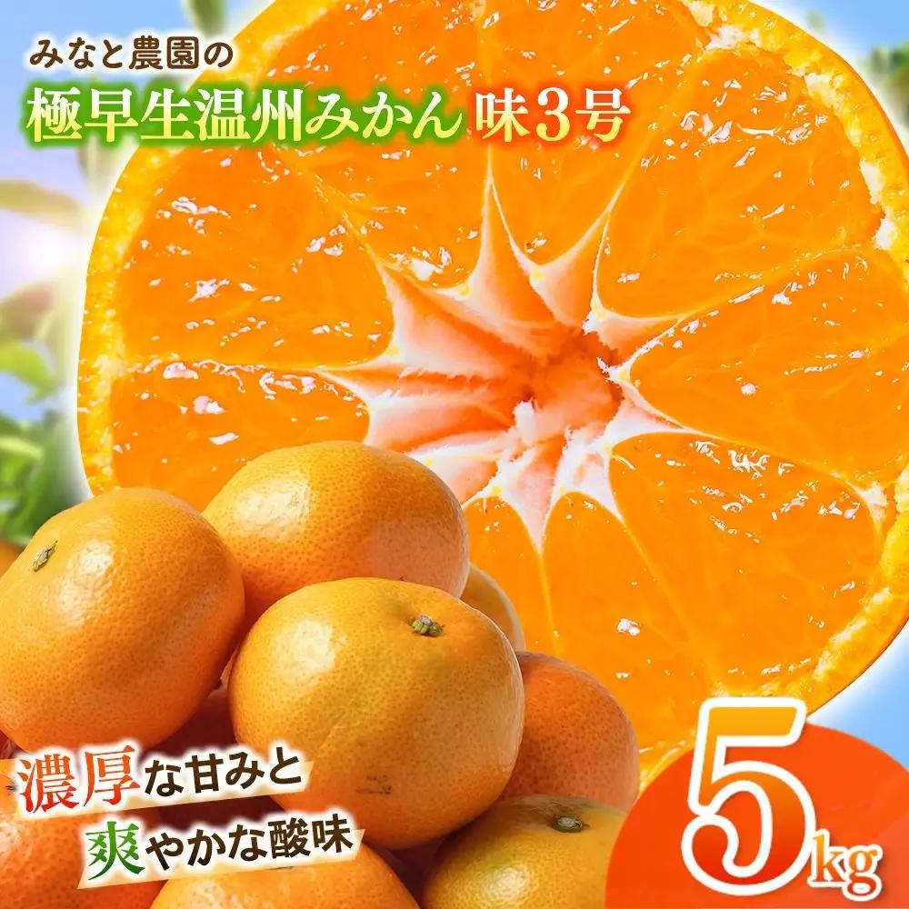 みかん 味3号 温州みかん 約5kg【mntf0005】
