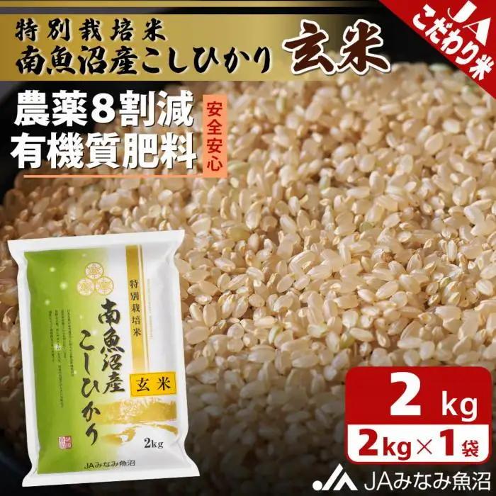 【令和7年産】特別栽培米南魚沼産こしひかり8割減 玄米 2kg ｜こしひかり