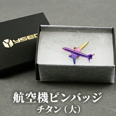 【ふるさと納税】航空機ピンバッジ　チタン（大）　 雑貨 アクセサリー 小物 コレクション 乗り物 飛行機 航空機マニア 高級ピンバッジ ファッション小物