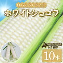 【ふるさと納税】【2025年8月以降発送】ホワイトショコラ　白いとうもろこし 10本 北海道 豊浦町産 とうきび 【 ふるさと納税 人気 おすすめ ランキング 野菜 とうもろこし 国産 ホワイト ショコラ 白い とうきび おいしい 美味しい 北海道 豊浦町 送料無料 】 TYUH002