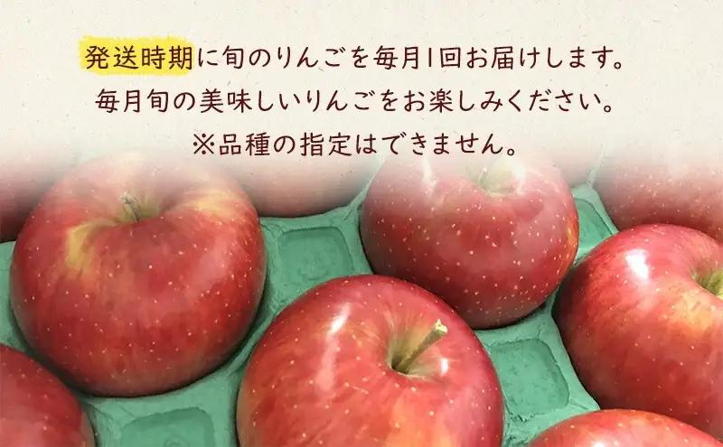 【定期便】 訳あり りんご 品種おまかせ 5kg 3ヶ月 田村ふぁーむ tamura010 りんご