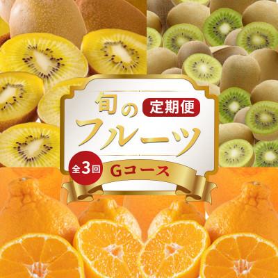 ふるさと納税 丸亀市 【発送月固定定期便】フルーツ定期便 Gコース(ゴールドキウイ キウイっこ デコポン)全3回