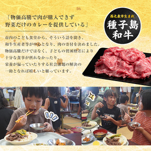 「 自慢 の逸品」 西之表市生まれの黒毛和牛 雌牛 すき焼き ・ しゃぶしゃぶ 用 （400g）　NFN540【600pt】 