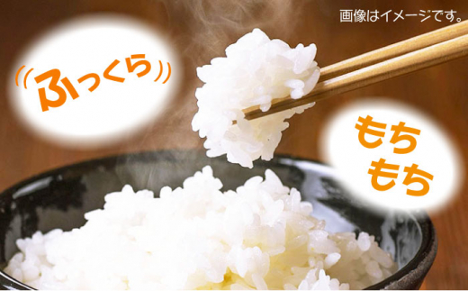 【令和6年産 新米 予約受付中】佐護 ツシマヤマネコ 米 5kg みつめるにゃんBOX セット【24年10月以降順次発送】《対馬市》【一般社団法人MIT】玄米 対馬 精米 減農薬 猫 ギフト [WAP