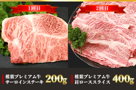 【定期便6回】総重量3.1kg！椎葉プレミアム牛満喫定期便≪ステーキ・すき焼き・しゃぶしゃぶ・焼き肉≫
