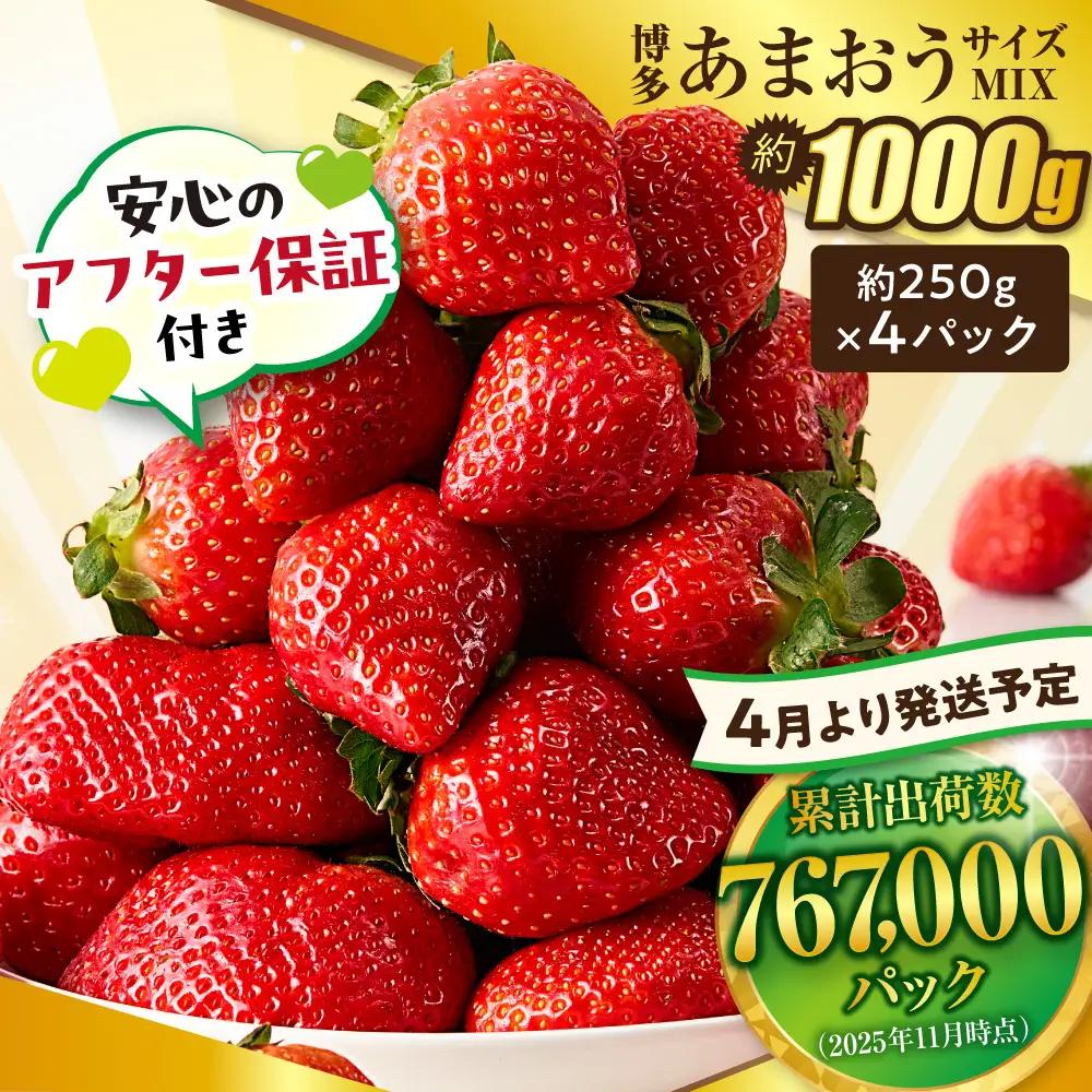 【先行予約】【アフター保証】4月発送！「博多あまおう」約250g×4パック【ほたるの里】_AS0526-00