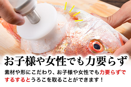 ストレスフリーなBM式うろこ取り《30日以内に出荷予定(土日祝除く)》有限会社BMエンジニアリング 福岡県 鞍手町 鱗取り うろこ取り 魚 料理 調理器具 送料無料