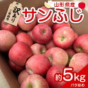 【ふるさと納税】 【令和6年産先行予約】 〈訳あり品 家庭用〉 りんご 「サンふじ」 約5kg バラ詰め 《令和6年12月上旬～令和7年2月下旬発送》 『カネタ高橋青果』 リンゴ 山形県 南陽市 [1958]