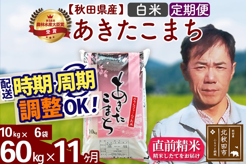 ※令和7年産 新米※《定期便11ヶ月》秋田県産 あきたこまち 60kg【白米】(10kg袋) 2025年産 お届け時期選べる お届け周期調整可能 隔月に調整OK お米 みそらファーム|msrf-11311
