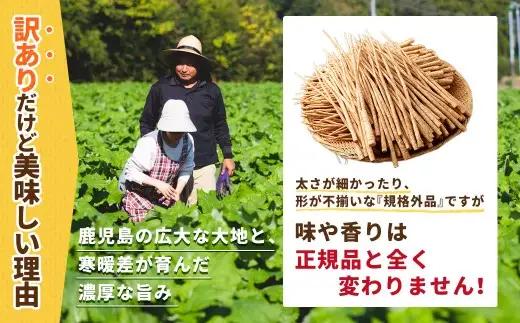 鹿児島県産 洗い【細い】 ごぼう 約5kg 【規格外・訳あり品】【2026年12月上旬-3月下旬発送予定】 AS-4116