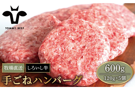 【牧場直送】佐賀県産しろいし牛 ボリュームたっぷり手ごねハンバーグ 120g×5個【有限会社佐賀セントラル牧場】 [IAH016]