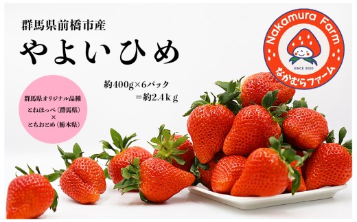 いちご 『やよいひめ』 約2.4㎏(2,400g)【2025年群馬県いちご品評会入賞！】
