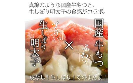 博多明太醤油もつ鍋セット 2～3人前 B024R