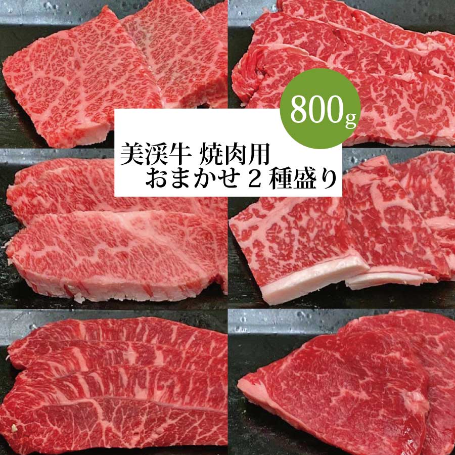 【ふるさと納税】 肉の杉屋 美渓牛 焼き肉用 おまかせ2種 800g