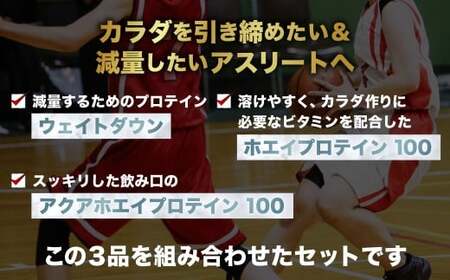 ザバス プロテイン バスケットライトセット チョコレート風味 抹茶風味 グレープフルーツ風味 3種 3個 SAVAS ザバス プロテイン 人気プロテイン 明治プロテイン 体づくり 筋トレ 岡山県 倉敷