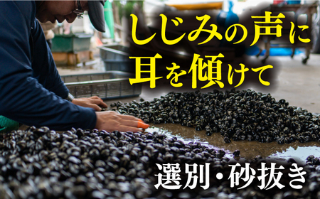 しじみ 【全6回定期便】宍道湖産 冷凍大和しじみ 砂抜き済 Lサイズ800×2袋(1.6kg) 島根県松江市/しじみ市場株式会社[ALDK007] しじみ しじみ