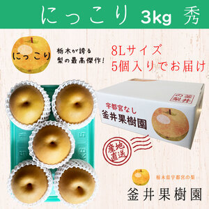 にっこり 3kg 5玉 旬の梨