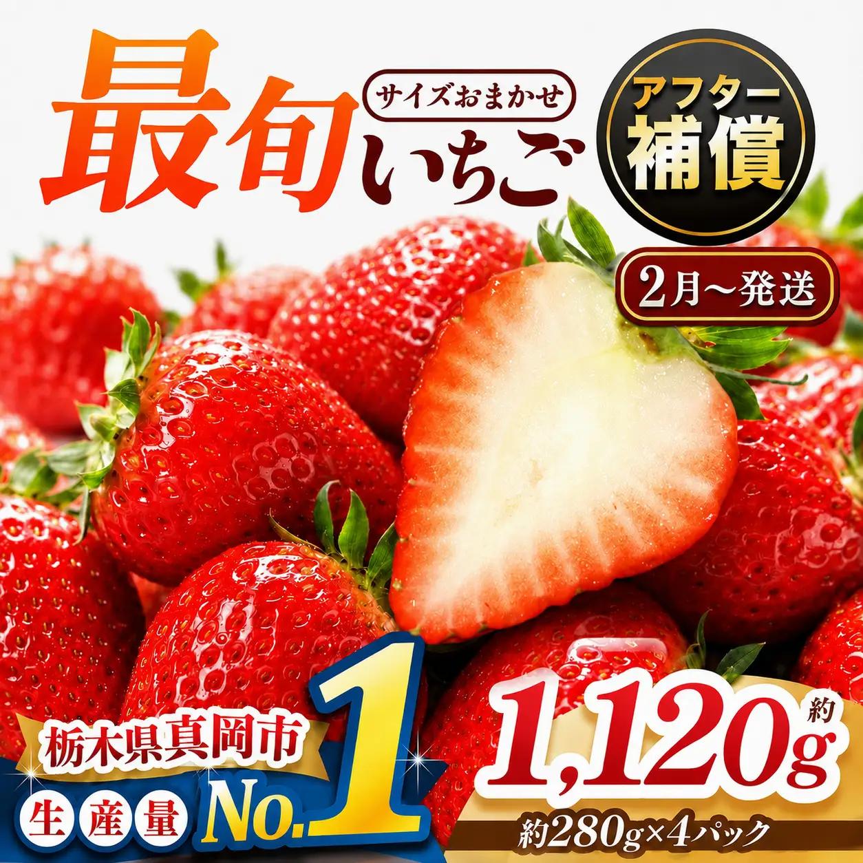 【先行予約受付中】【2027年2月発送】大人気！ 最旬とちあいか 約1120g 4パック いちご