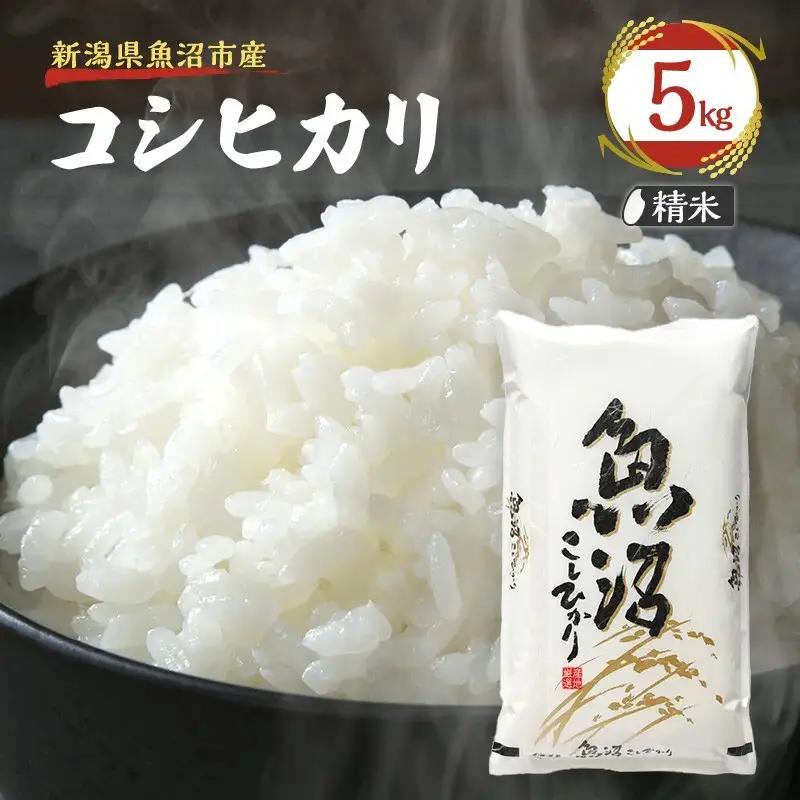 令和7年産【雪国逸品 精米5kg】越後魚沼郷 魚沼産コシヒカリ お米 人 自然調和 ミネラル 奇跡 自然環境 努カ 香り つや 粘り 極上