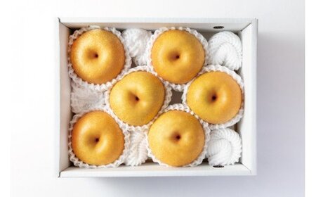 和歌山県産の梨 約2kg  【8月中旬から9月上旬までに順次発送】【BG005-mat103A】