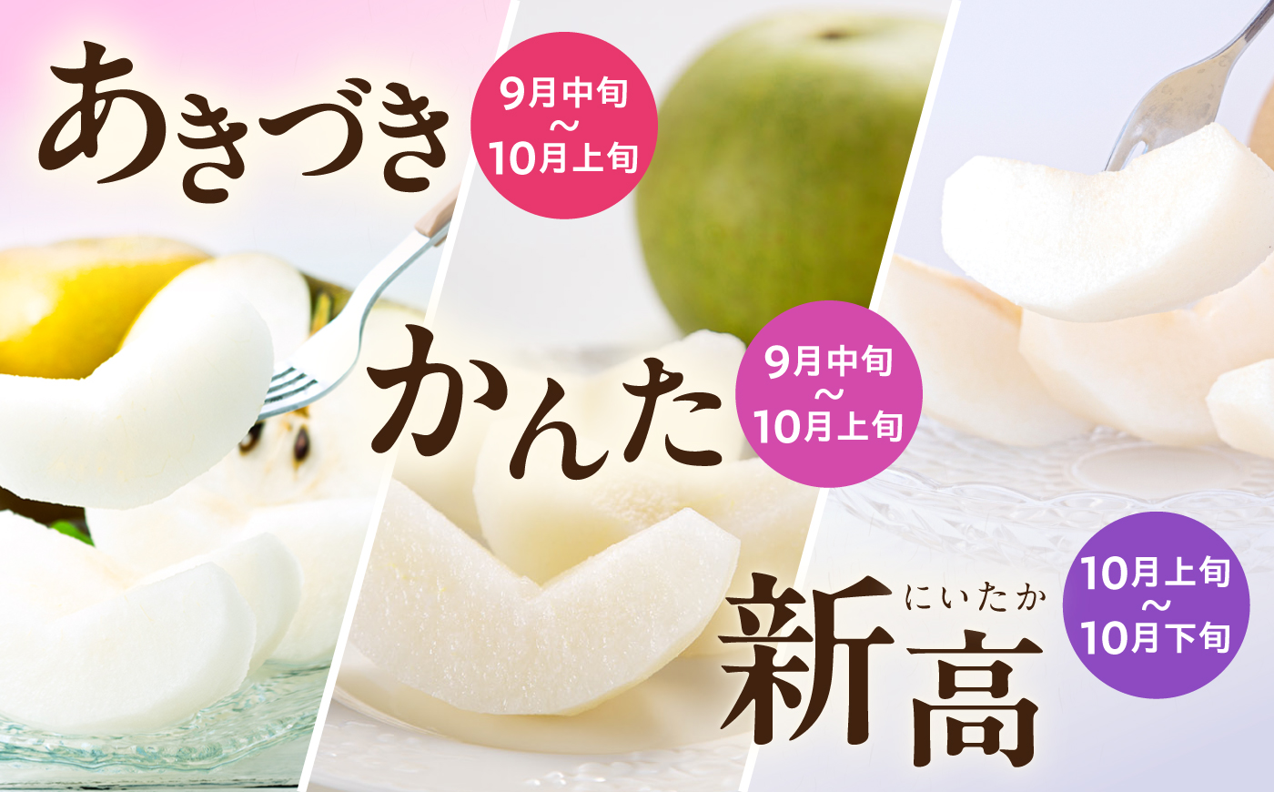 【2回定期便】朝採り旬の梨 約2.5kg（6玉）/回 計5kg 大村市 産直松吉/梨 なし 定期便 梨 幸水 豊水 秋麗 あきづき 新高 20世紀 二十世紀 かんた [ACZC012]