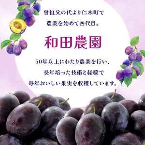 [2026年発送]【9月後半～10月発送】北海道 仁木町産 おすすめ プルーン 800g（400g×2パック） 果物類 果物 くだもの フルーツ 果物詰合せ [和田農園]