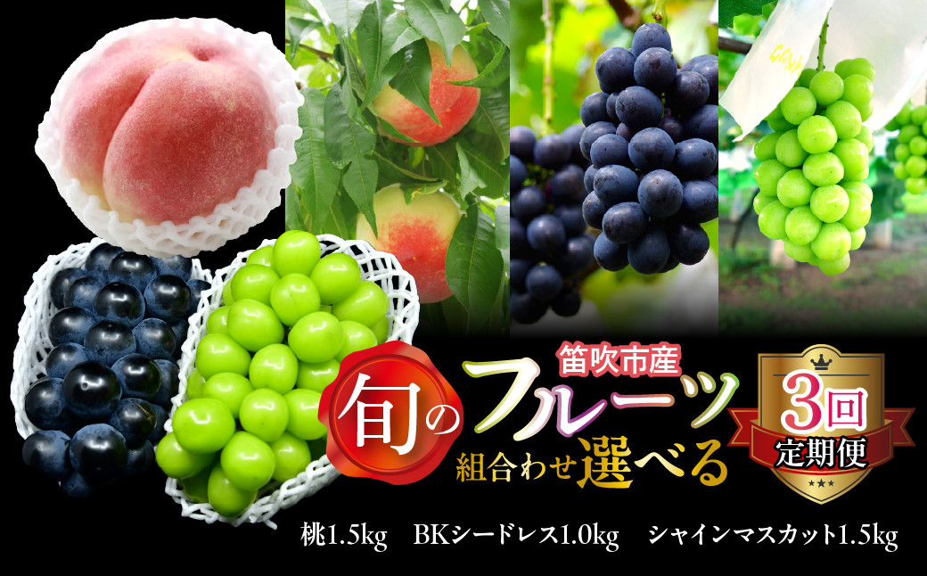 
            【定期便】【2026年発送★先行予約】旬のフルーツ選べる3回定期便（桃・BKシードレス・シャインマスカット）  227-017-04
          