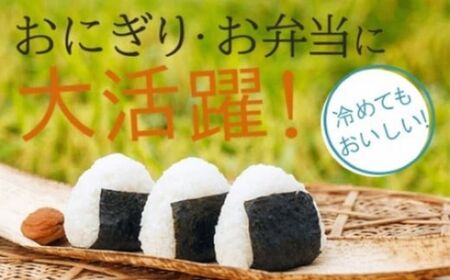 【先行予約】【定期便】 こしひかり 小松市産 ゆめみづほ 精米  5kg×2ヶ月（毎月）米 小松市産こしひかり 石川県【JA小松市】