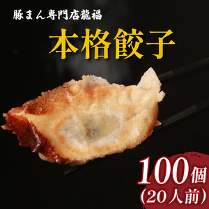 餃子 100個 冷凍 中華料理 餃子