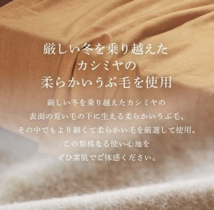 カシミヤブランケット グランドプレミアム シングル (140×200cm) [1742]【db】