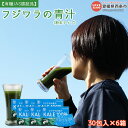 【ふるさと納税】＜フジワラの青汁・粉末タイプ(30包入)×6箱＞ ※翌月末迄に順次出荷します。 有機JAS認証品 ケール 無添加 野菜粉末 愛媛県 西条市 【常温】