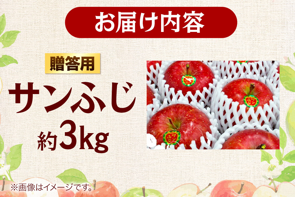【26年2月発送】りんご 贈答用 サンふじ 約3kg
