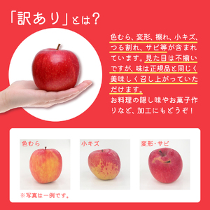 【2026年1月後半発送】【訳あり】 りんご 約10kg サンふじ 青森産