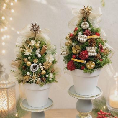 ふるさと納税 小牧市 プリザーブド卓上クリスマスツリー(ホワイト) [133O18-02]