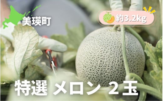 【先行予約】 特選 メロン 2玉 約3.2kg <令和7年産 >美瑛選果| 赤肉メロン 赤肉 北海道 道産 送料無料 産地直送 数量限定 果物 フルーツ[018-53]