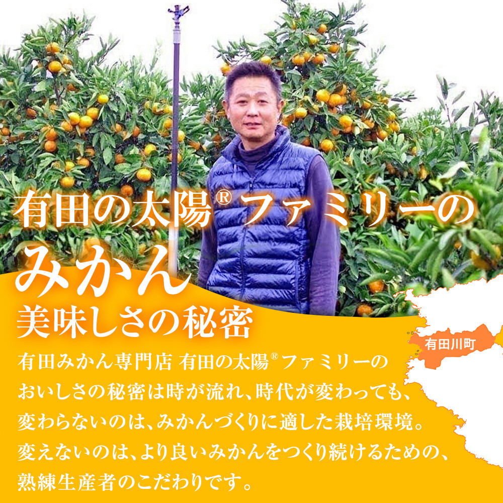 有田みかん専門店 有田の太陽®ファミリー 早生または晩生 有田みかん 4.5kg＋補償分100g 山採れ・サイズ・等級 混合 FH05_イメージ3