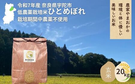 ＜令和7年産・先行予約＞ひとめぼれ 玄米 20kg 9月末より順次発送 ／ ふるさと納税 低農薬 米 お米 こめ コメ 国産 新米 玄米  農家やまおか 奈良県 宇陀市