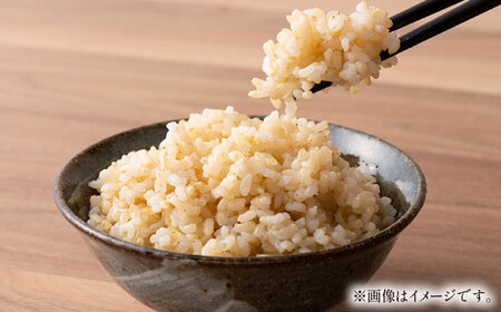 【ふるなび限定】新米 先行予約 上久野産コシヒカリ 玄米 10kg 新米 新米 新米 新米 島根県雲南市/株式会社かみくの桃源郷 [AIAN003] FN-Limited