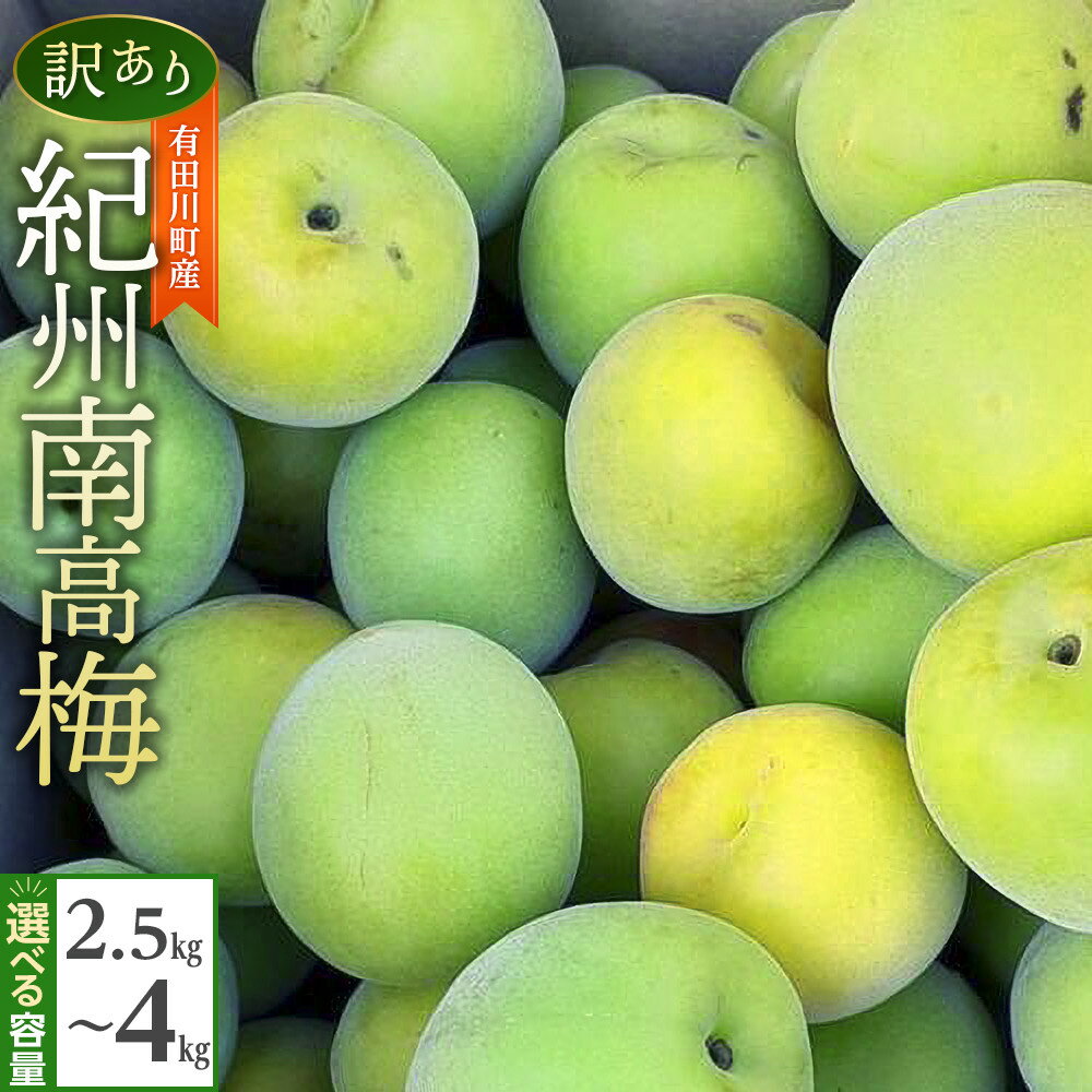 【ふるさと納税】青梅 2.5kg ～ 4kg 紀州南高梅 シロップ・梅酒・梅干し用等 和歌山県有田産 訳あり　2026年5月下旬～7月上旬発送予定 | 梅 うめ 南高梅 完熟 生梅 秀品 和歌山県 梅酒用 梅干用 梅シロップ 梅ジャム 送料無料 お土産 取り寄せ