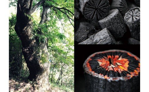 菊炭（お茶席用道具炭 たね用切炭） KWNW003