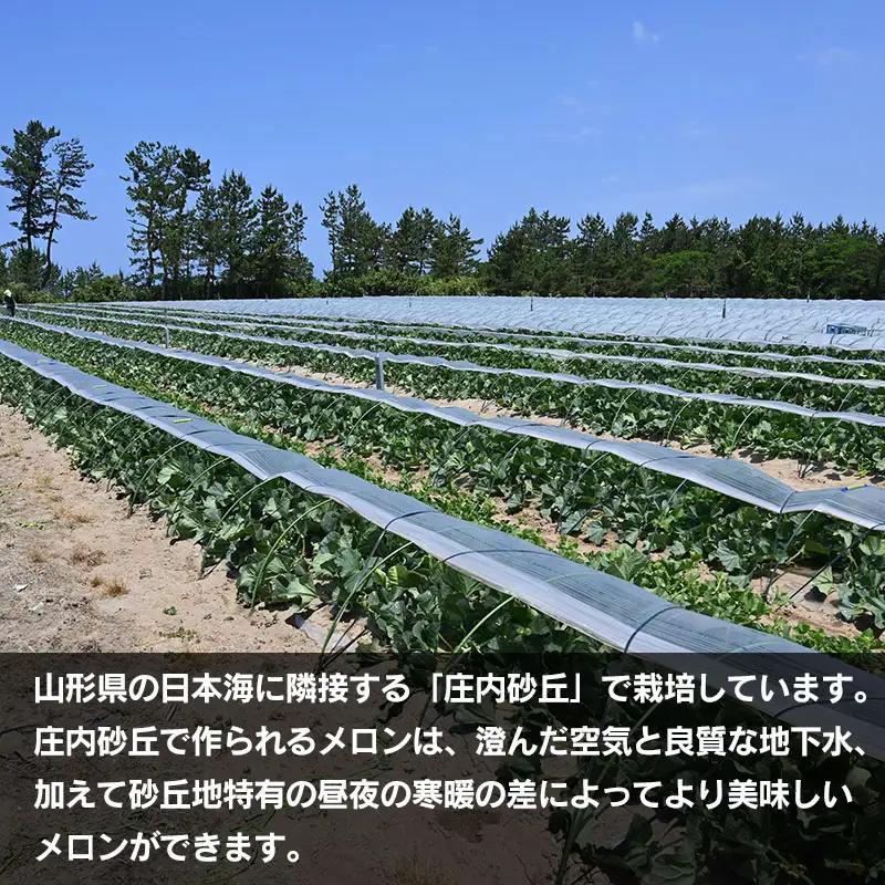 アンデスメロン (3～5玉) 秀品 4L～2L 令和9年産 K-939　JA鶴岡