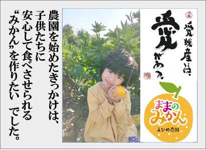 【新品種登場！】＜産地直送＞【数量限定】みかん「愛果48号」　サイズ不揃い3キロ　家庭用 2025年3月中旬頃～順次発送【訳あり ふぞろい 甘い みかん 愛媛】