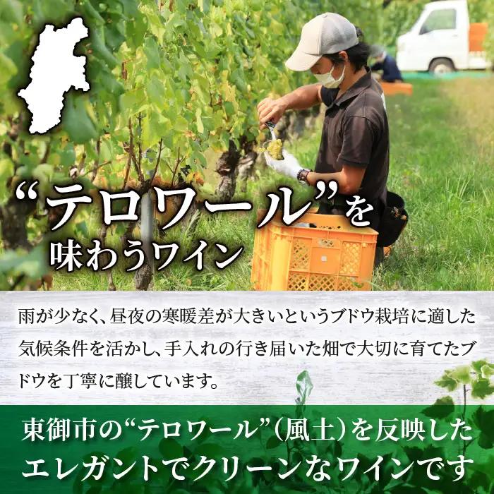 【限定50セット】日本ワインコンクール銀賞！ メルロー 飲み比べ3本セット（ヴィニュロンズリザーブ メルロー、タザワメルロー、八重原メルロー）｜【ヴィラデスト ワイナリー】 長野ワイン 日本ワイン 赤